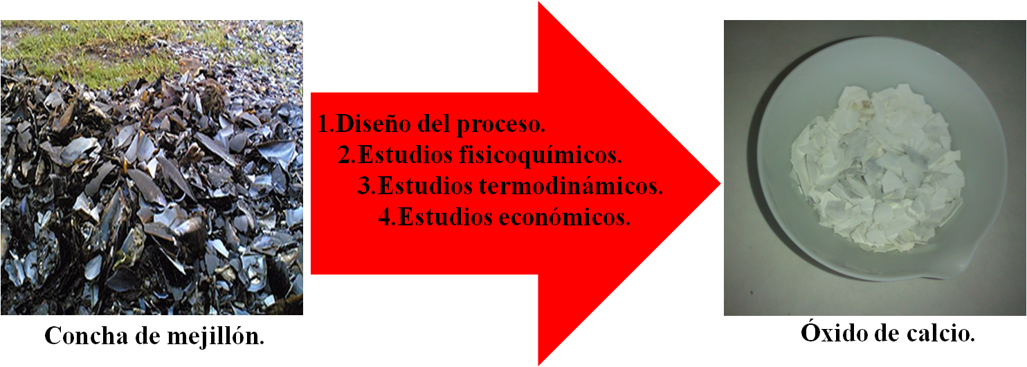 Obtención de óxido de calcio a partir de concha de mejillón